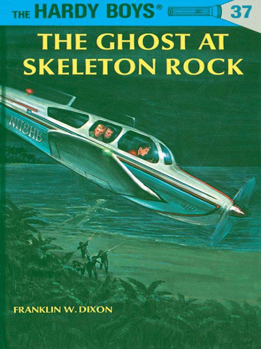 Cover image for The Ghost at Skeleton Rock